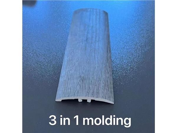 3 in 1 molding